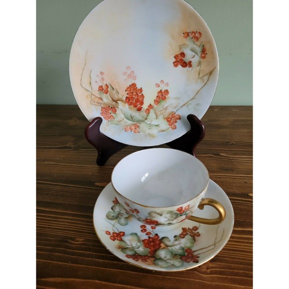 Silesia Germany Porcelain Hand Painted gooseberries Trio set - Picture 1 of 7